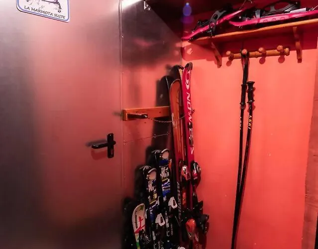 Marmota L Wifi L Pie De Pistas Panticosa